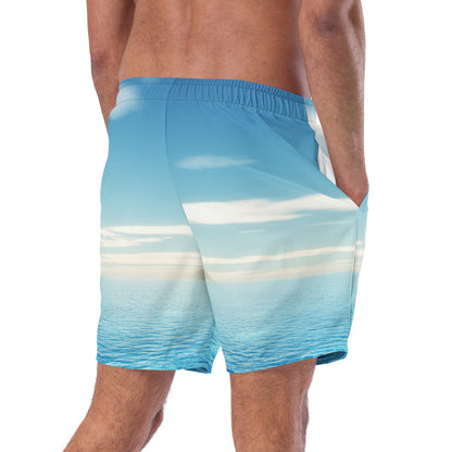 La petite île swim trunks