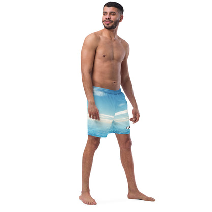 La petite île swim trunks